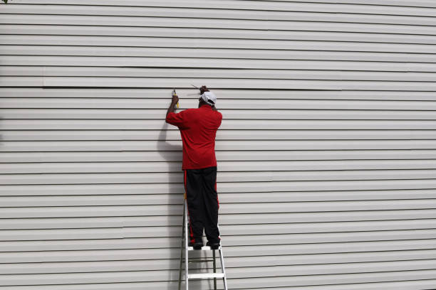 Affordable Siding Repair and Maintenance Services in Mitchell, NE